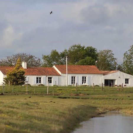 Maison De Charme Au Coeur Des Marais Pour 6 Pers. Bouin  Exterior foto